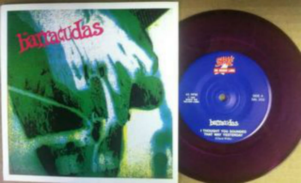 Barracudas / I Thought You Sounded That Way Yesterday
