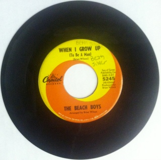 Beach Boys - When I Grow Up (to Be A Man)