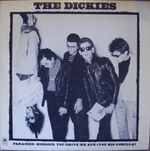 Dickies - White Vinyl Maxi 10"