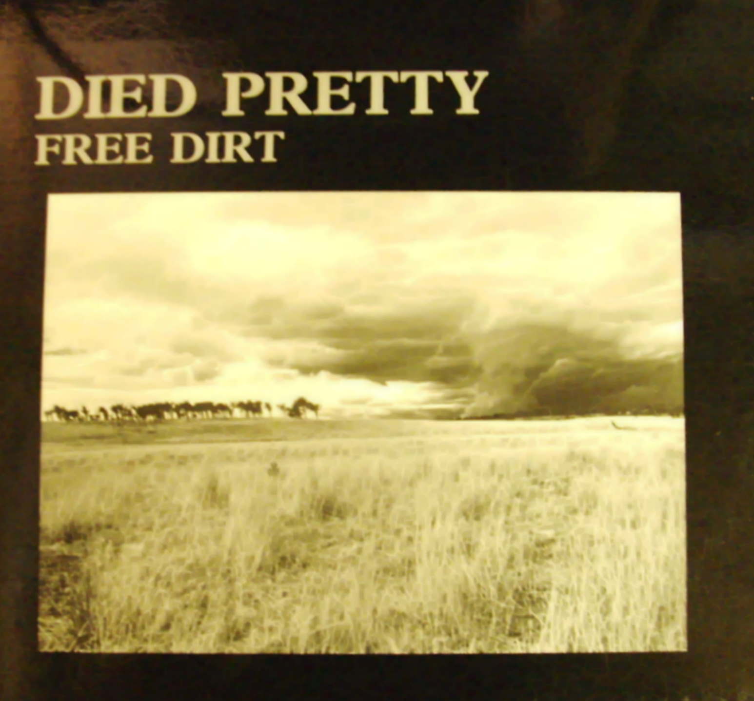 Died Pretty / Free Dirt