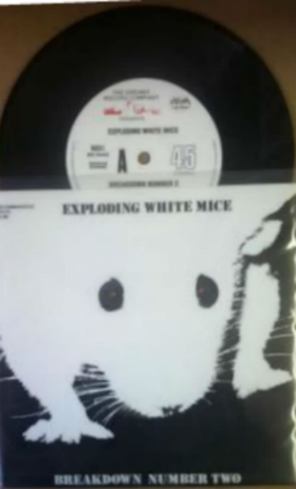 Exploding White Mice / Breakdown Number Two