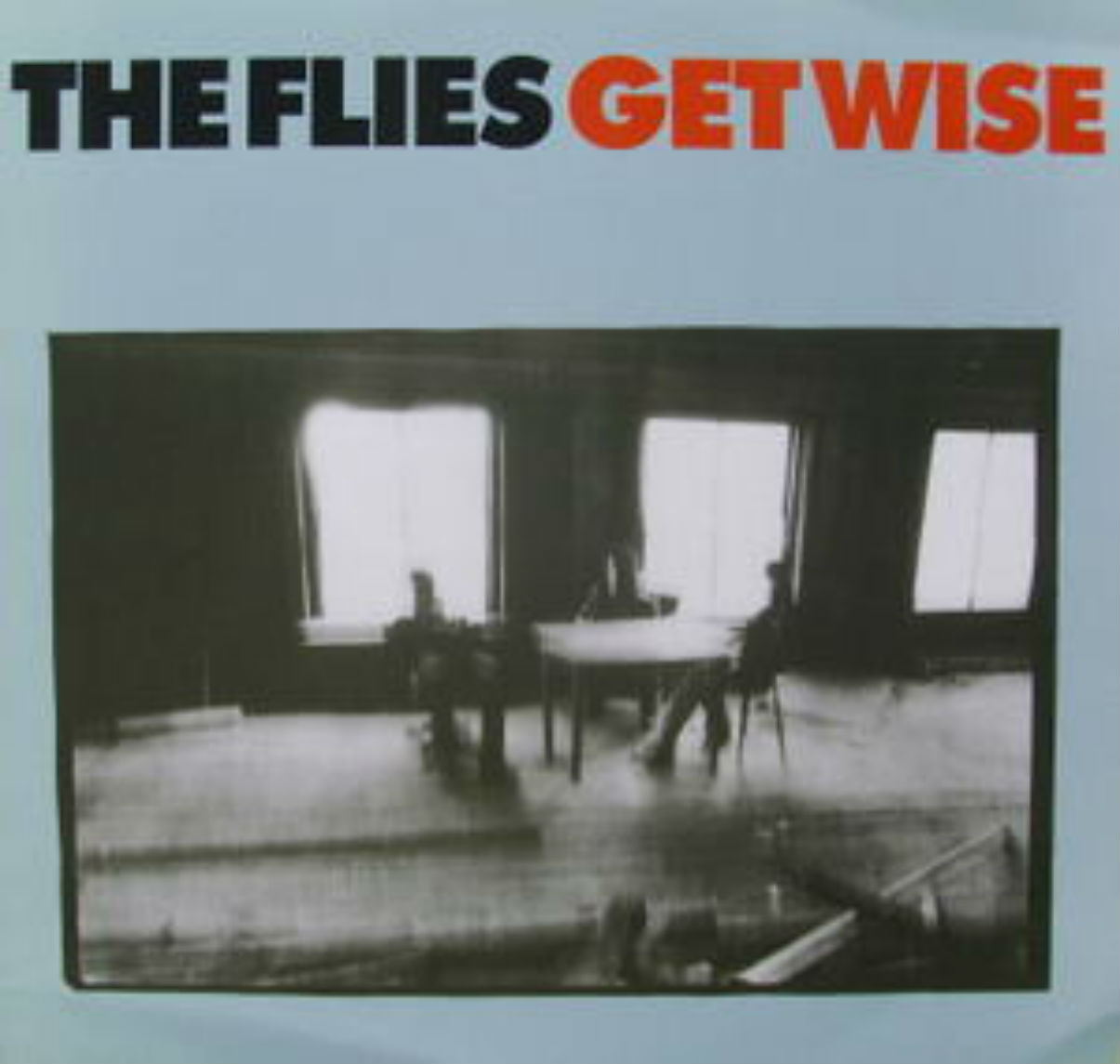 Flies / Get Wise