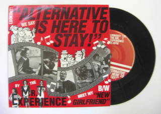 Mr. T Experience / Alternative Is Here To Stay