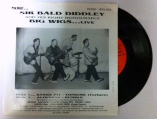 Sir Bald Diddley And His Right Honourable Big Wigs / Snake Pit