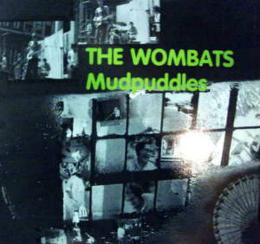 Wombats / Mudpuddles