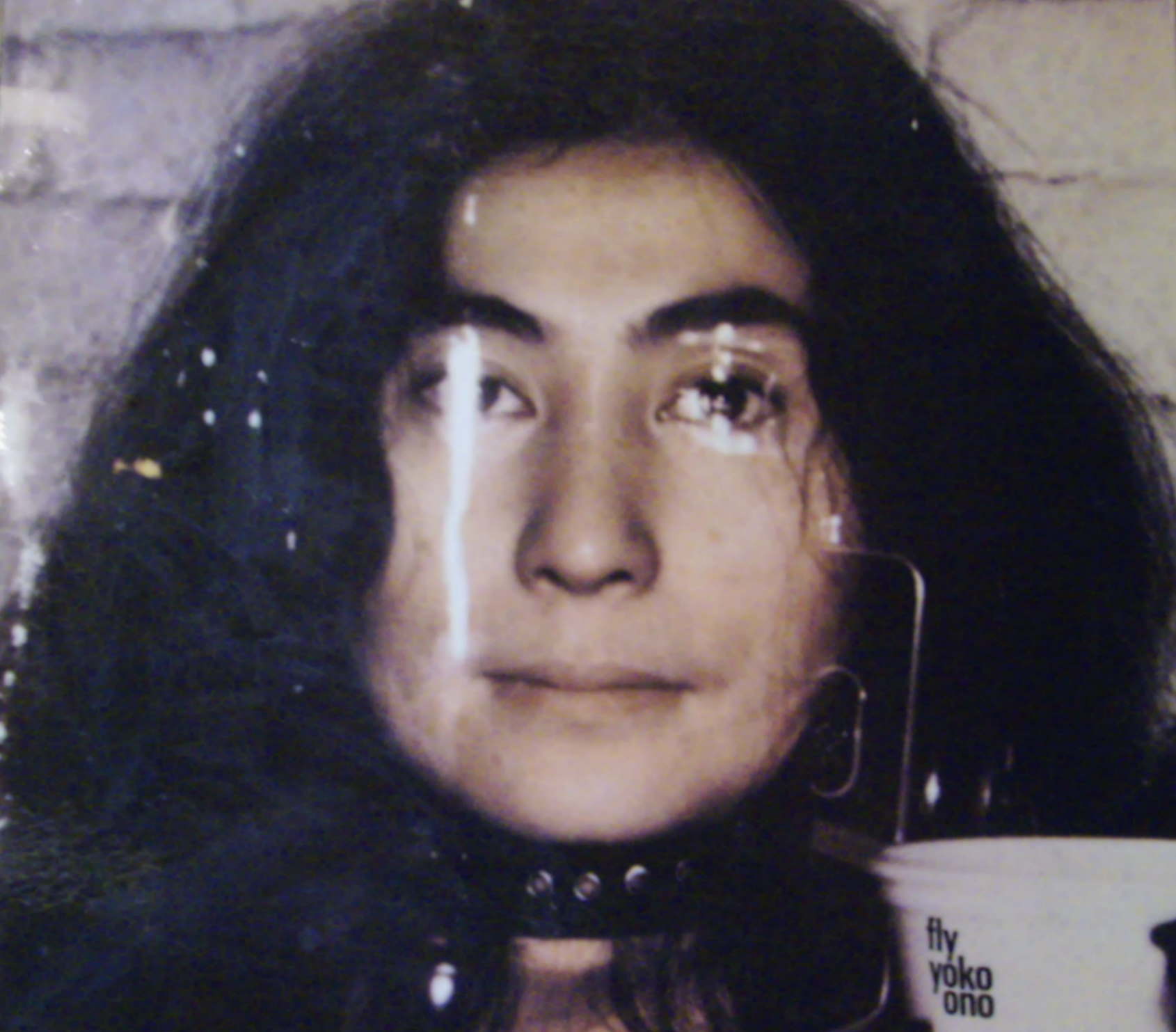 Yoko Ono / Fly