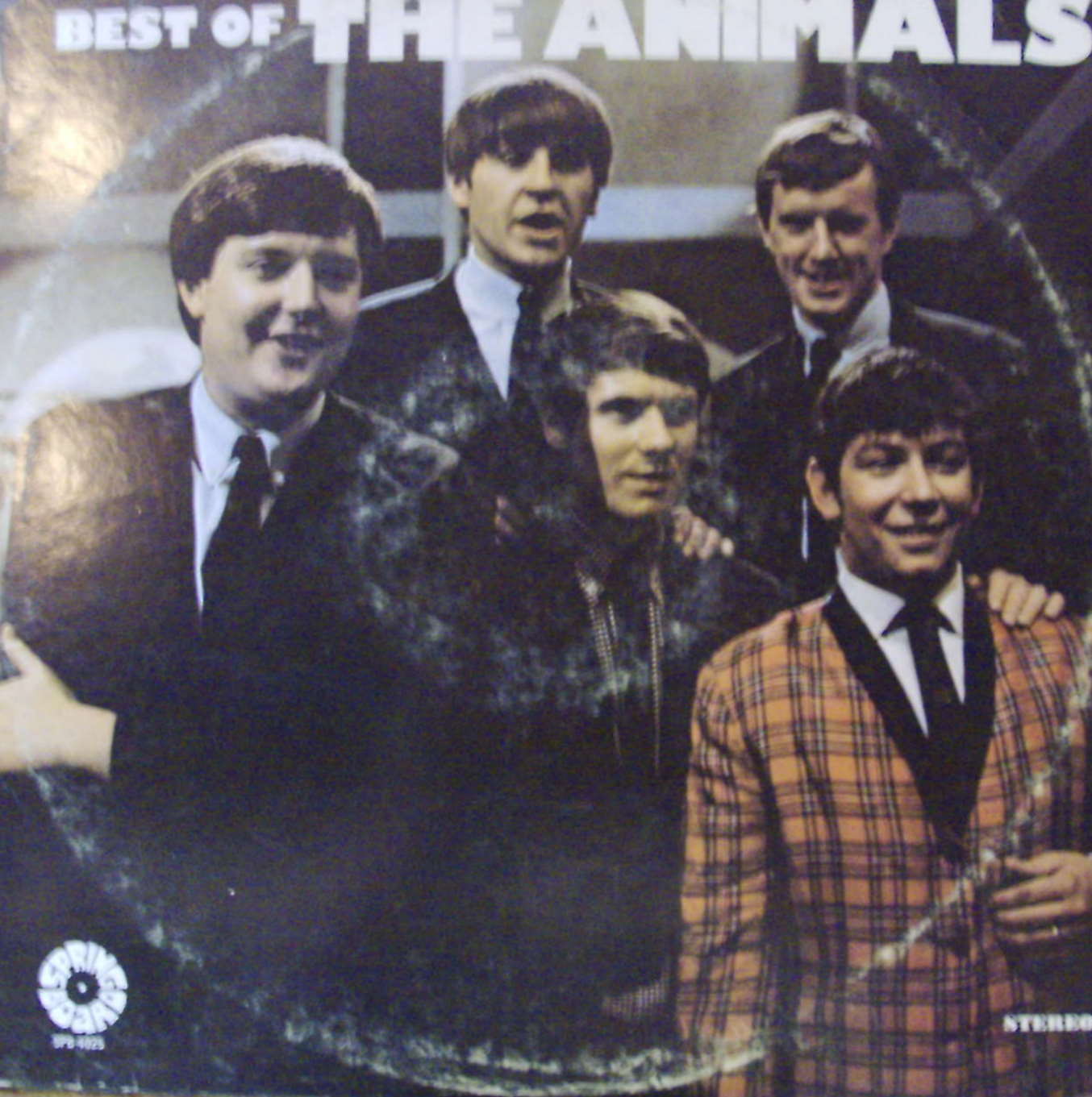 Animals / Best Of