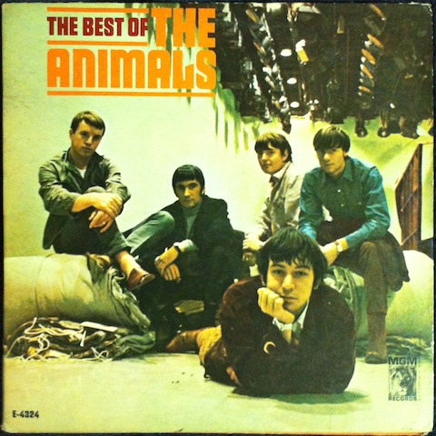 Animals / Best Of