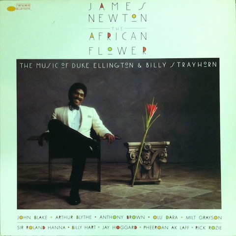 James Newton / African Flower