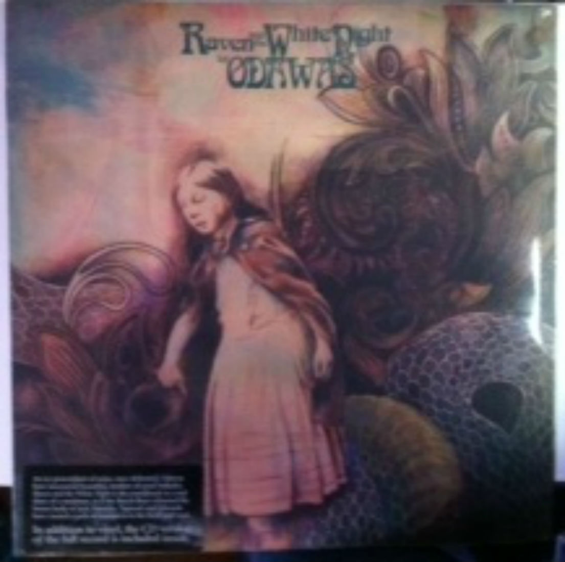 Odawas / Raven And The White Night