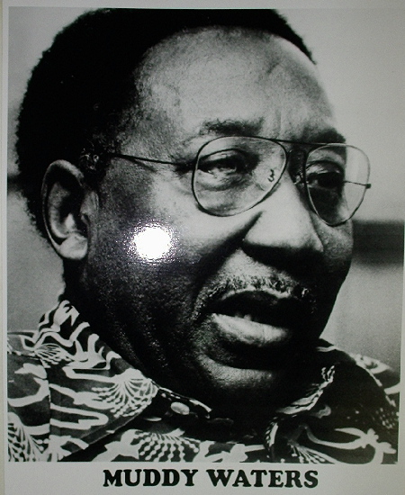 Muddy Waters / Head Shot